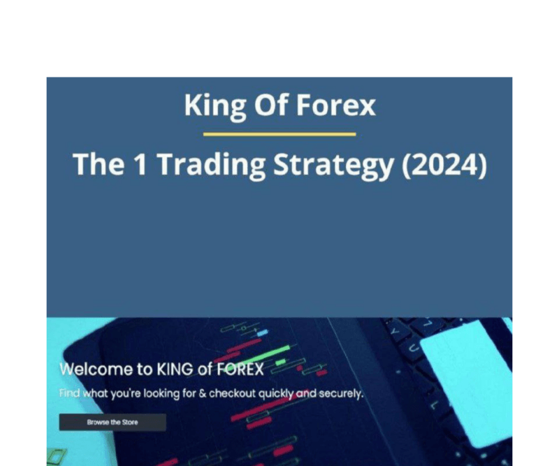 KING OF FOREX 2024