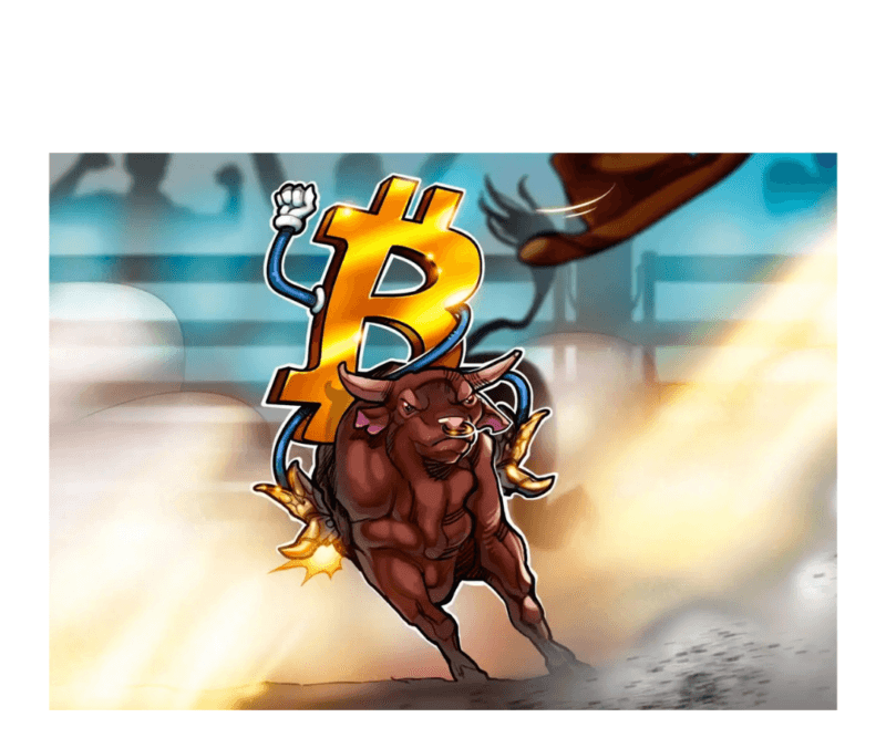 BIG BULL CRYPTO COURSE