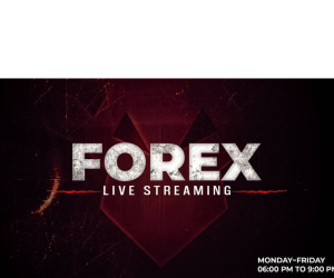 Guardeer Forex Live Classes Course