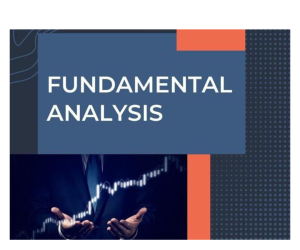 Wealth Saga WSG Pro – Investor Fundamental analysis Course