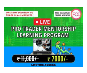 Ansh Kesharwani Pro Trader Mentorship Learning Program