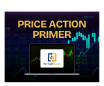 The Trade Square Price Action Primer