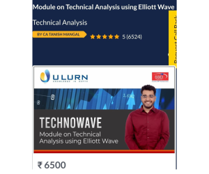 Technical Analysis using Elliott Wave By Tanish Mangal